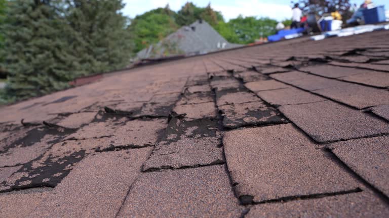 Fast & Reliable Emergency Roof Repairs in Portage, MI