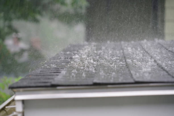 Best Solar Panel Roofing Installation  in Portage, MI