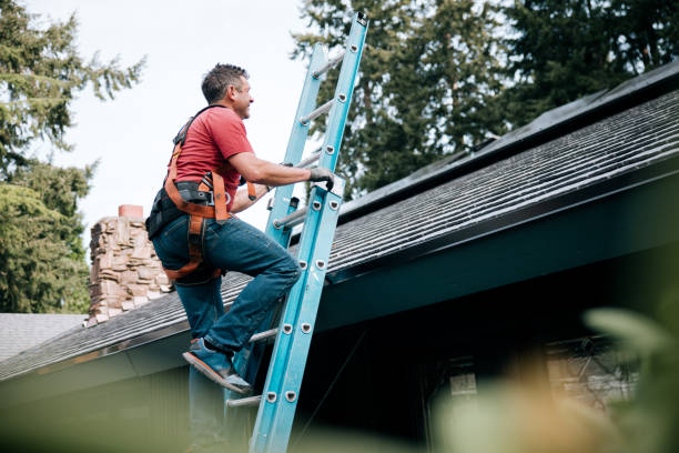 Best Roof Ventilation Installation  in Portage, MI