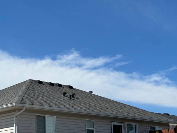 Best Rubber Roofing (EPDM, TPO)  in Portage, MI